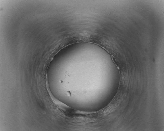 X0000062141057200512161212