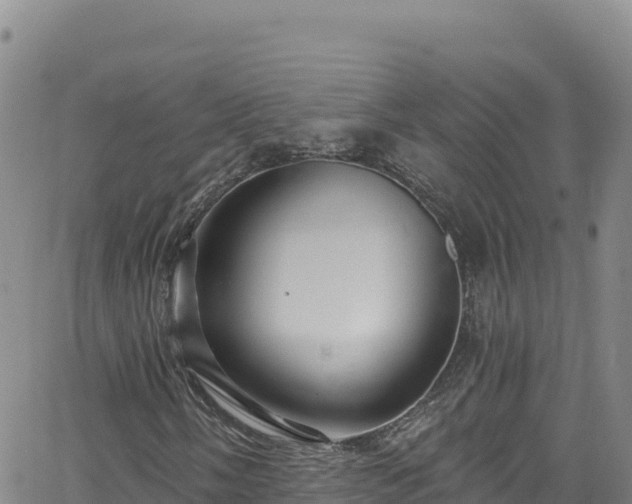 X0000062141058200512161212