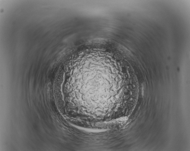 X0000062141059200512161212