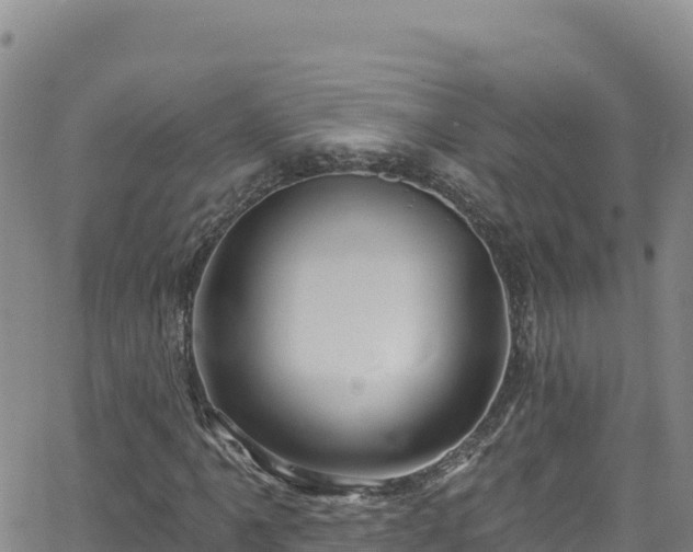 X0000062141061200512161212