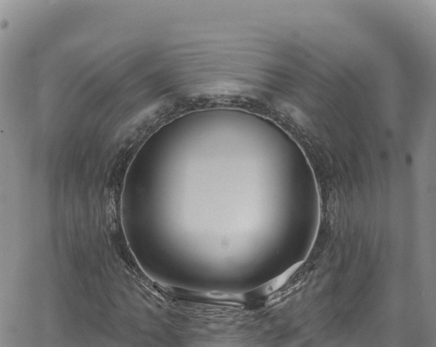 X0000062141062200512161212