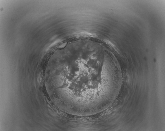 X0000062141063200512161212