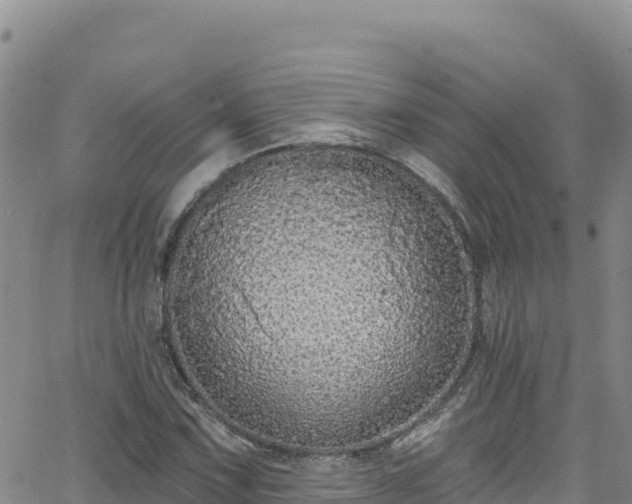 X0000062141067200512161212