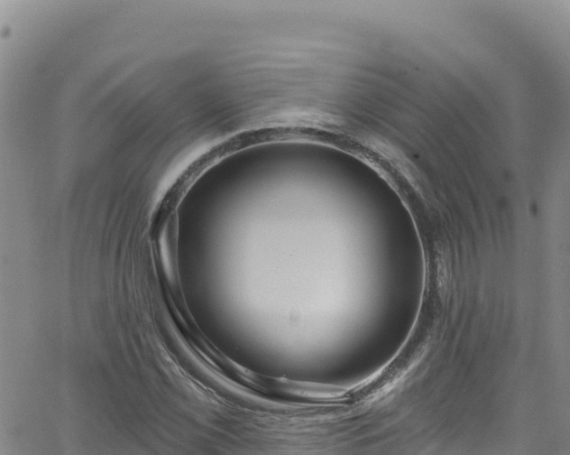 X0000062141069200512161212