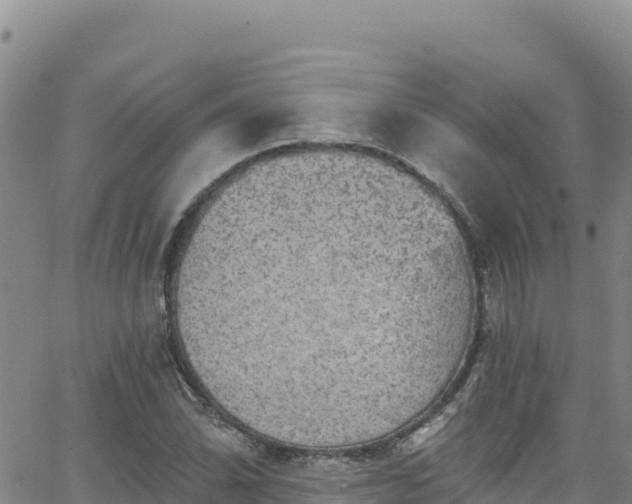 X0000062141070200512161212