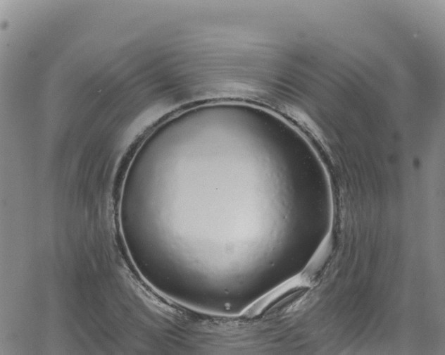 X0000062141072200512161212