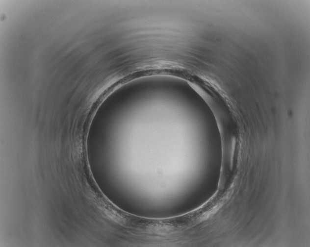 X0000062141073200512161212