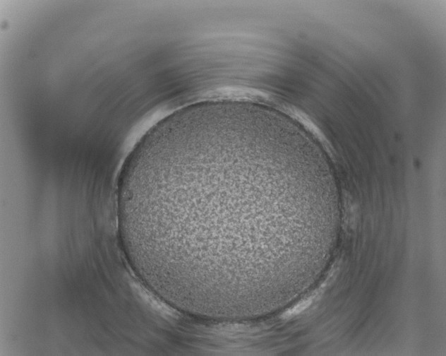 X0000062141075200512161212