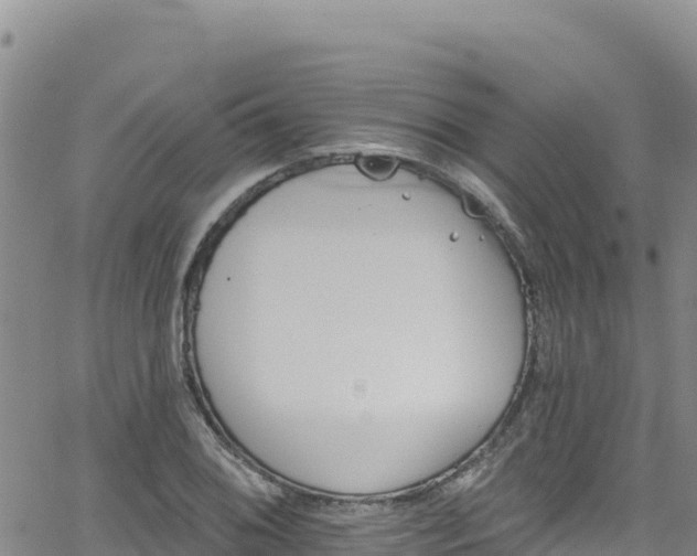 X0000062141076200512161212