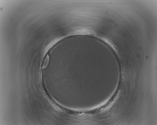 X0000062141077200512161211