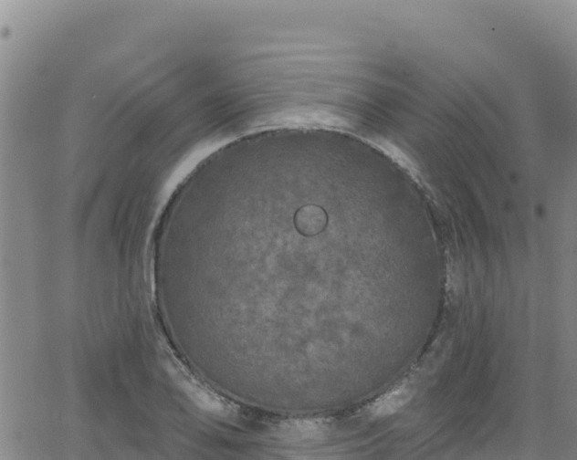 X0000062141078200512161211