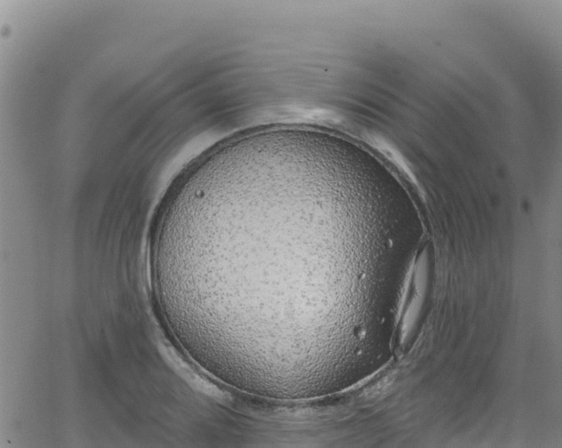 X0000062141080200512161211