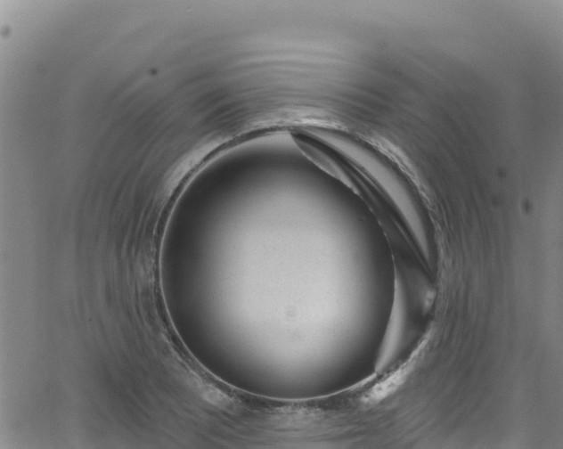 X0000062141081200512161211