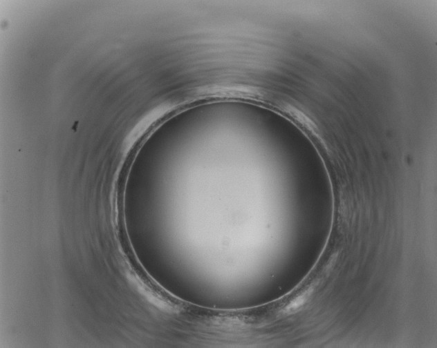 X0000062141082200512161211