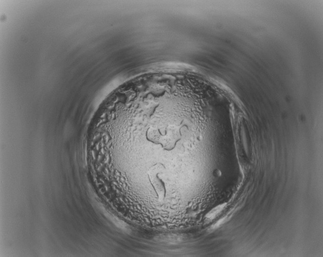 X0000062141083200512161211