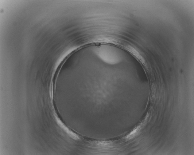 X0000062141084200512161211