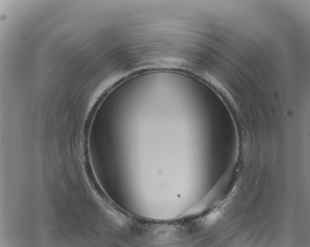 X0000062141085200512161211