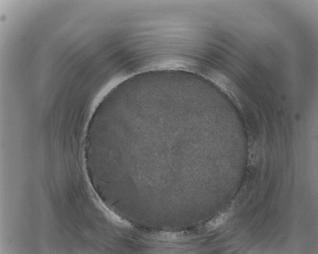 X0000062141086200512161211