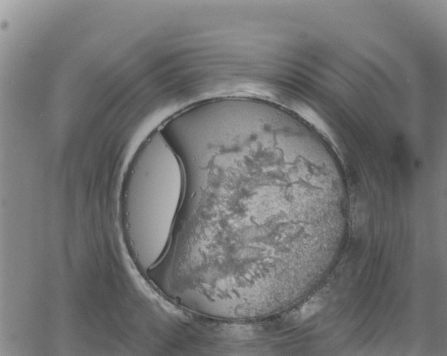 X0000062141088200512161211