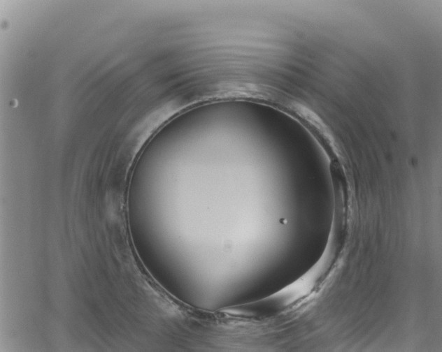 X0000062141089200512161211