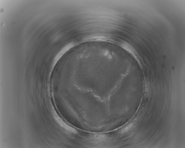 X0000062141090200512161211