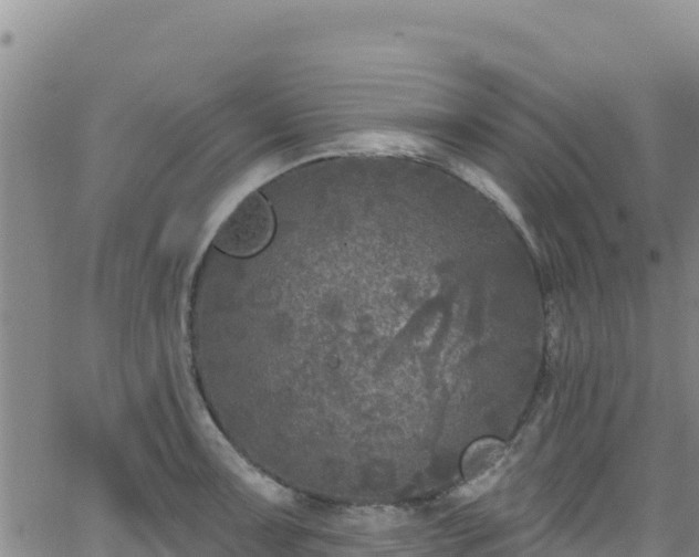 X0000062141091200512161211