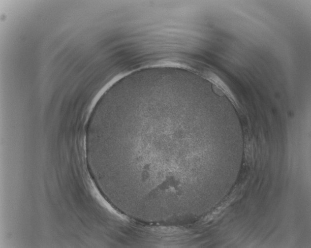 X0000062141092200512161211