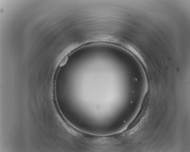 X0000062141093200512161211