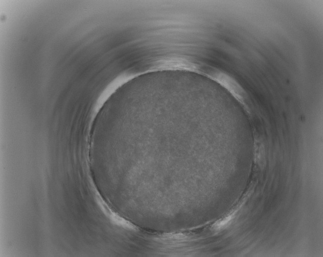 X0000062141094200512161211