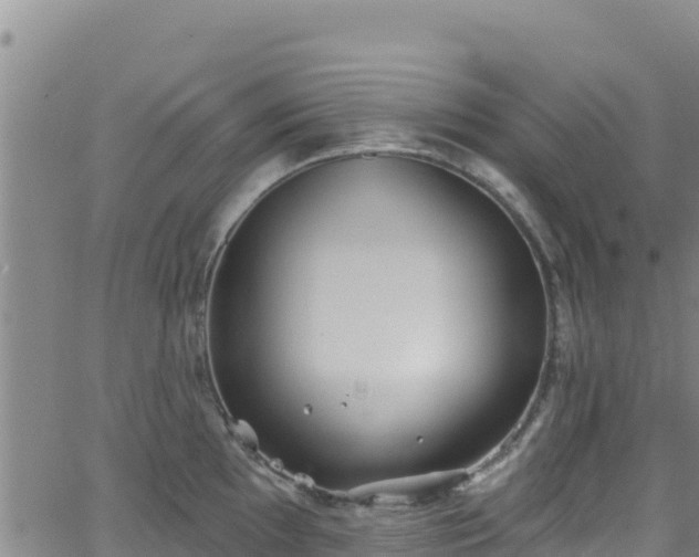 X0000062141097200512161211