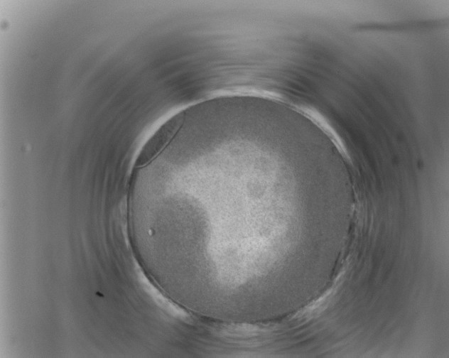 X0000062141100200512161211