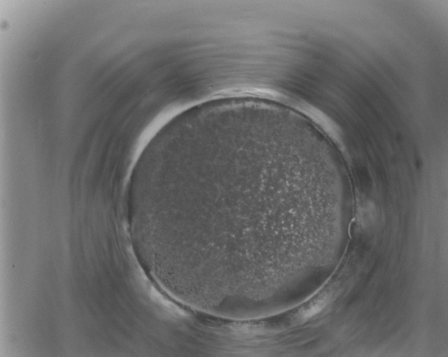 X0000062141102200512161211