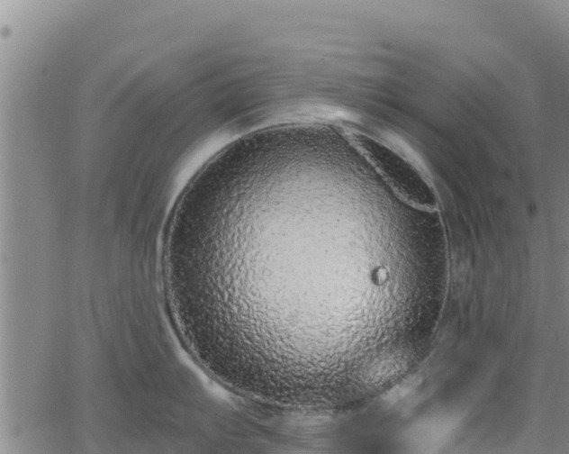 X0000062141103200512161211