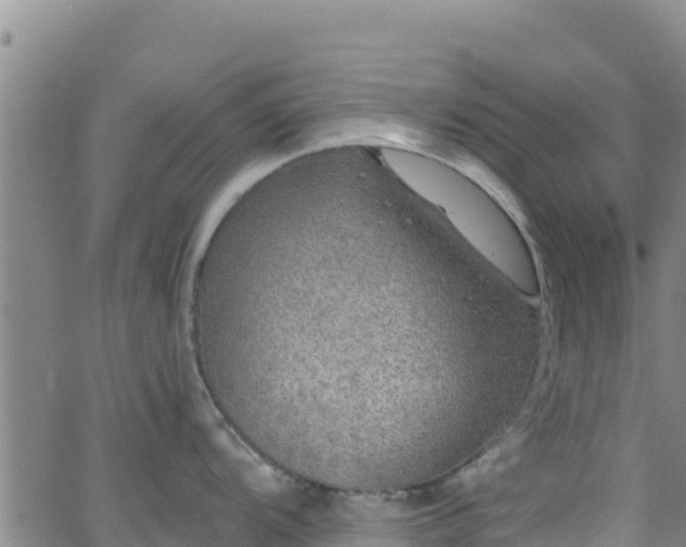 X0000062141104200512161211