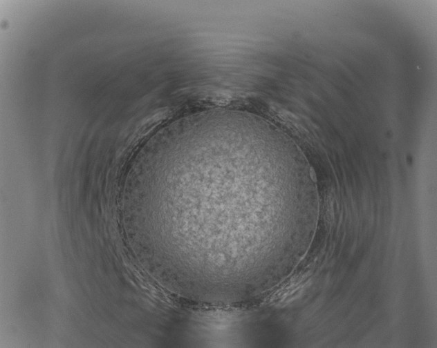 X0000062141105200512161210