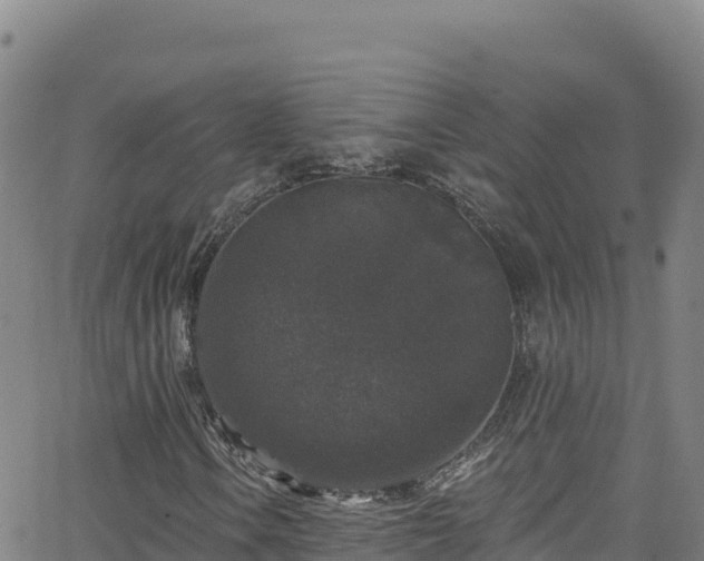 X0000062141106200512161210