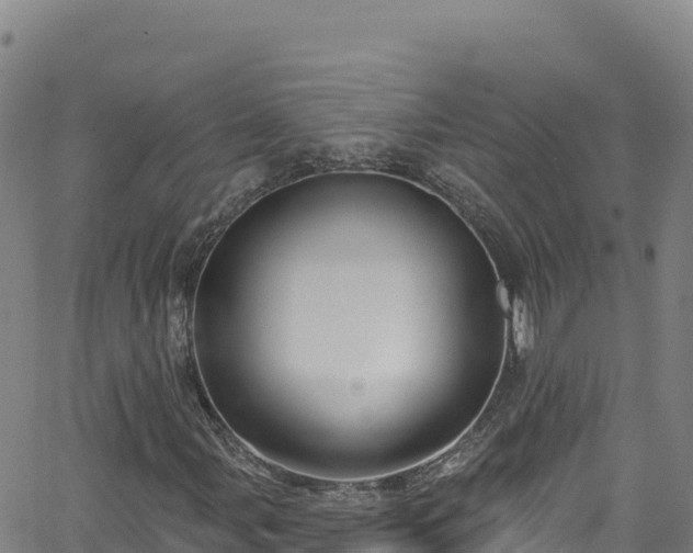 X0000062141107200512161210