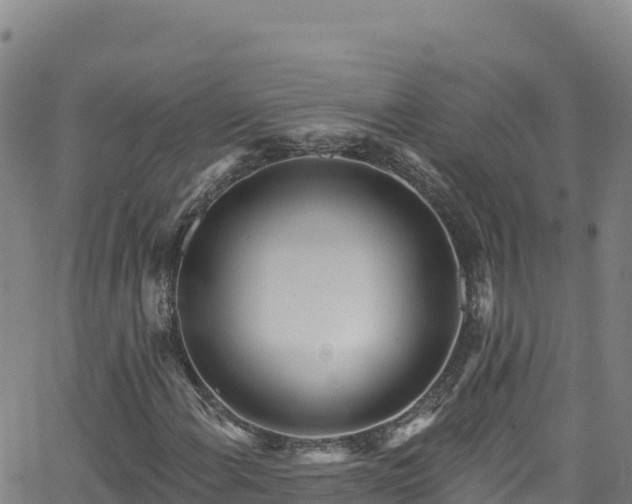 X0000062141108200512161210