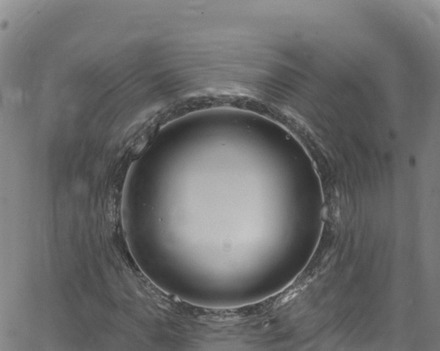 X0000062141110200512161210