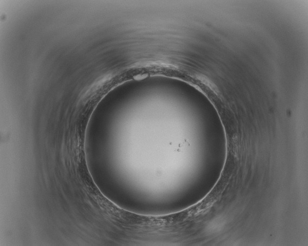 X0000062141111200512161210