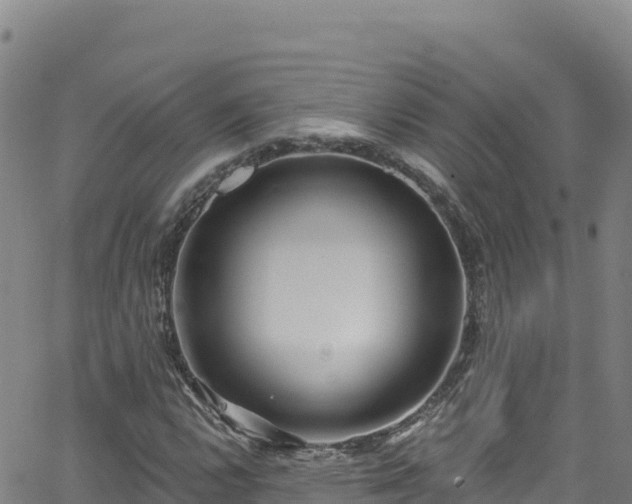 X0000062141112200512161210