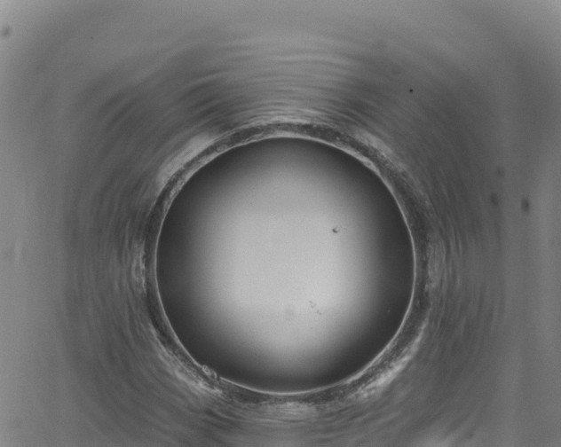 X0000062141113200512161210