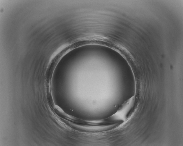 X0000062141114200512161210