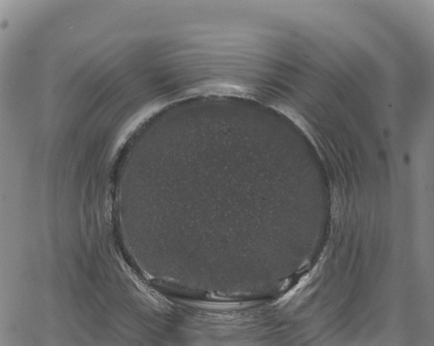 X0000062141115200512161210