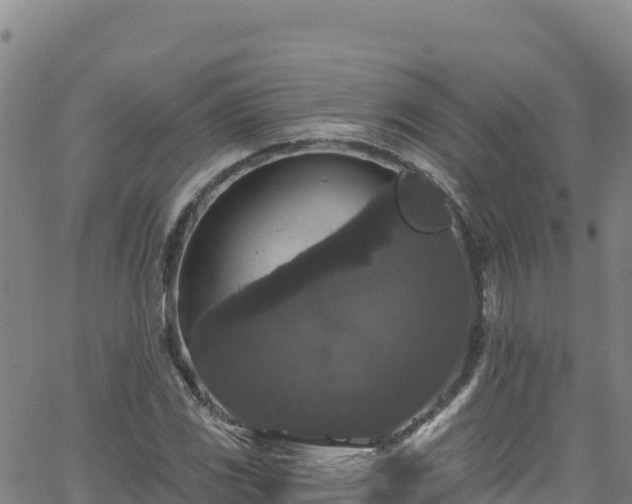 X0000062141117200512161210