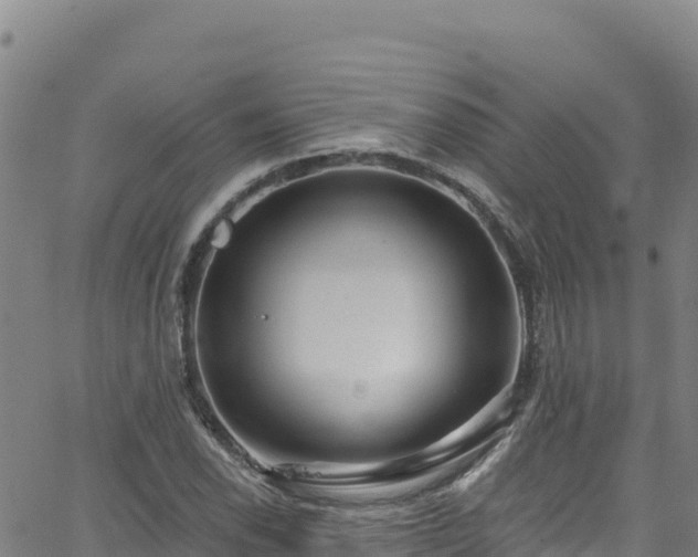 X0000062141118200512161210