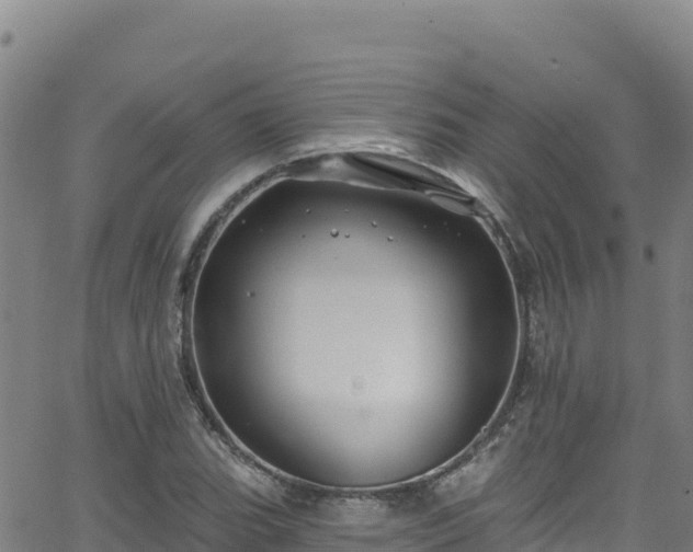 X0000062141119200512161210