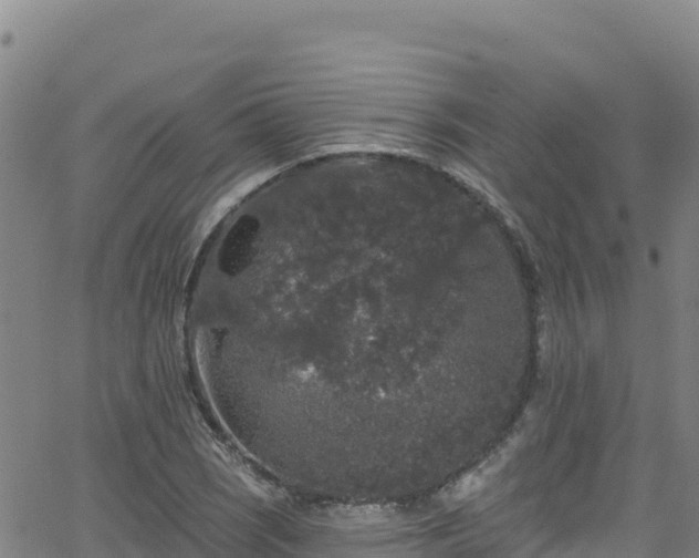 X0000062141121200512161211