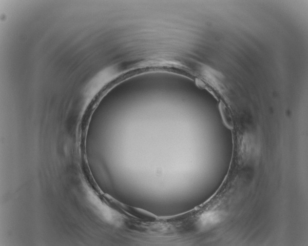 X0000062141124200512161211