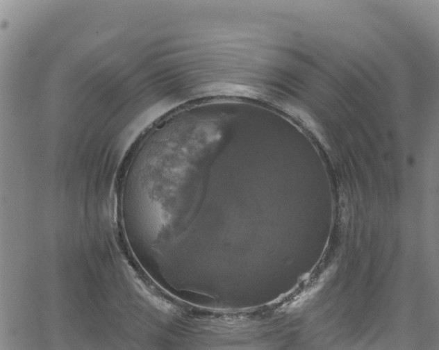 X0000062141125200512161211